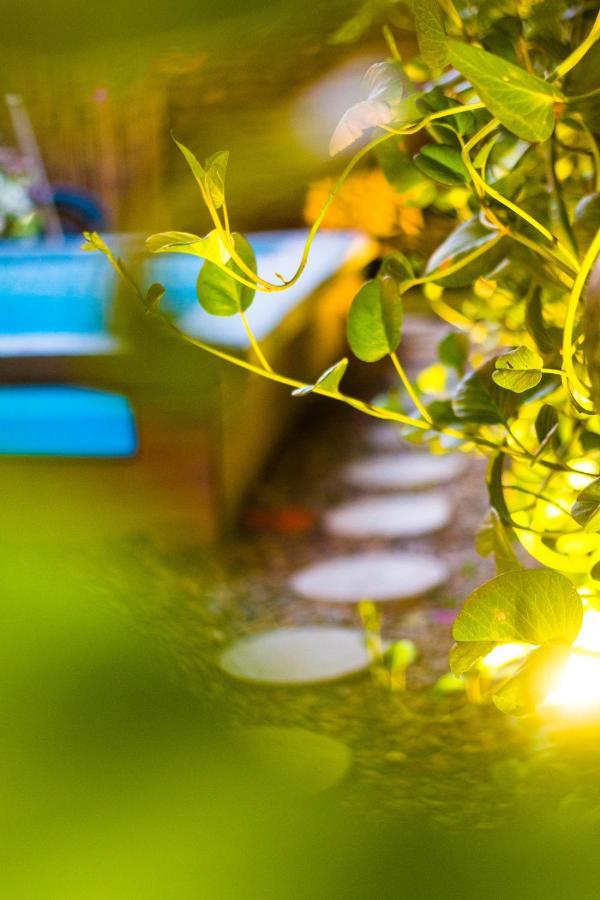 סנטה מרתה Hostel Musa Paradisiaca מראה חיצוני תמונה