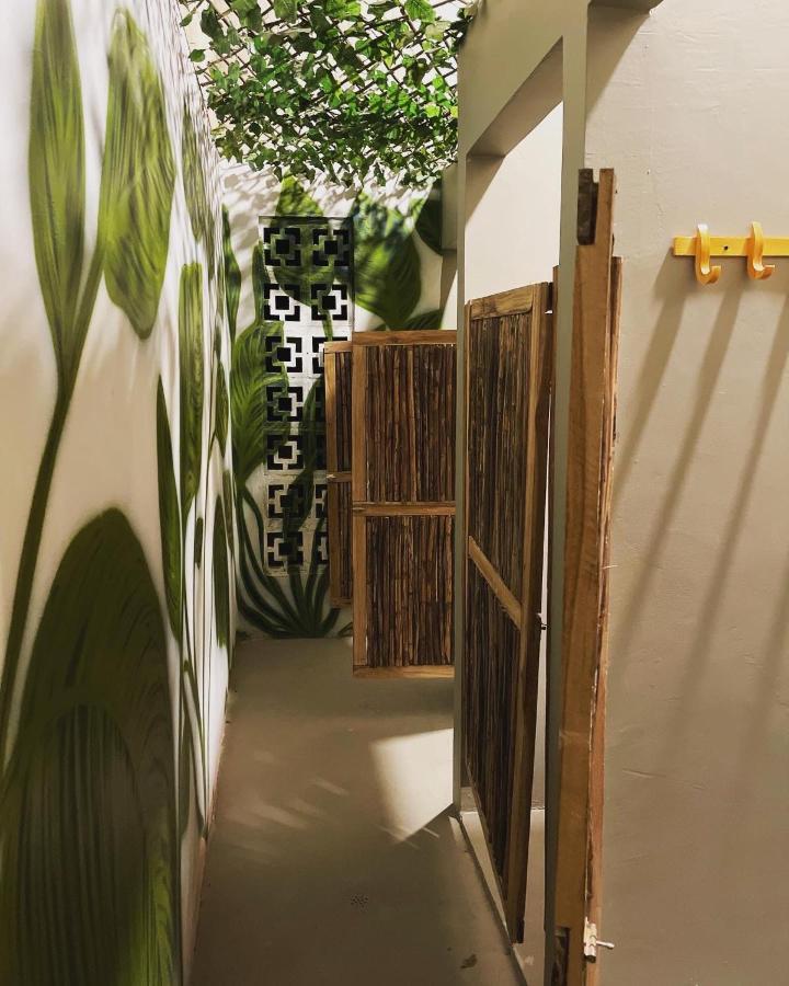 סנטה מרתה Hostel Musa Paradisiaca מראה חיצוני תמונה