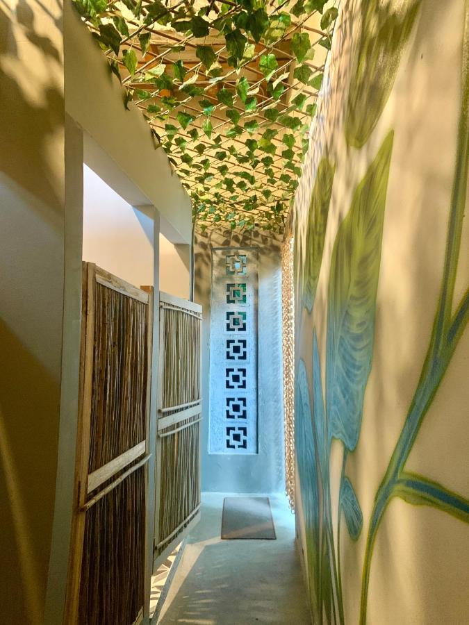 סנטה מרתה Hostel Musa Paradisiaca מראה חיצוני תמונה